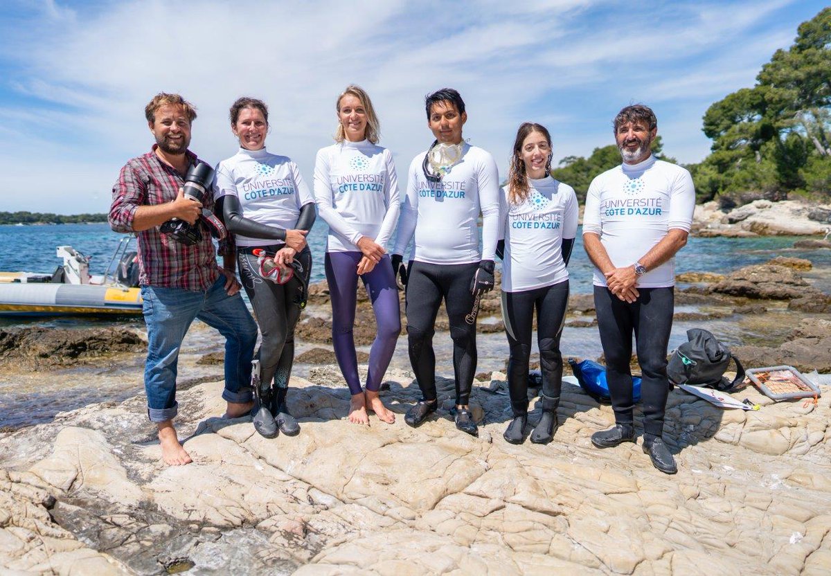 LuisaMangialajo's tweet photo. After COVID stop, #marineforests restoration starts again! @marineforests @AfrimedEu @FacSciences_UCA @uca_research #cystoseira #marineecology #marineconservation #ecoseaslab #natura2000 #ilesdelerins https://t.co/VrWCt2vyu3