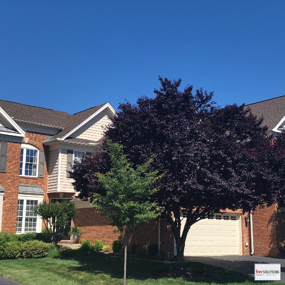 CathyStritt's tweet image. Open House Sat 6/20 from 1-4 PM. 5680 Wheelwright Way, Haymarket VA 20169.  Fabulous carriage home in Dominion Valley.  City/Urban chic decor! 3400 sq. ft. on three levels.  Bright open floor plan.  Upper/lower deck.  Backs to woods! Enjoy a lifetime of Saturdays!