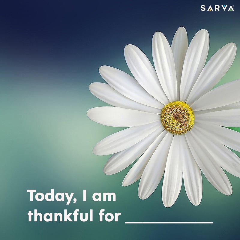 sarvayogastudio's tweet photo. In today's fast paced life, we don't take time to think about the little things in life that make our lives happier and better.
So today, let's focus and recollect the little things that we are not always thankful for. πΌπ
#MindfulnessWithSarva #Thankful #Life #Sarva #YogaPlus https://t.co/0UI64D9zQx