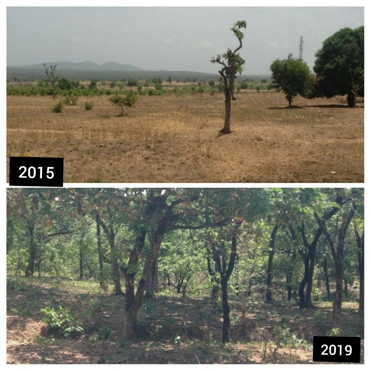 Our mission is to replicate this success practice accross Africa to diliver action on @UN #RestorationDecade within the context of @UNCCD #LDN #GreatGreenWall #Afr100 @UNBiodiversity @IPBES @FoodSystems

Thanks @TimChristo @mremae
@UNCCDcso @Agnes_Kalibata @tangem2009 @PfRglobal