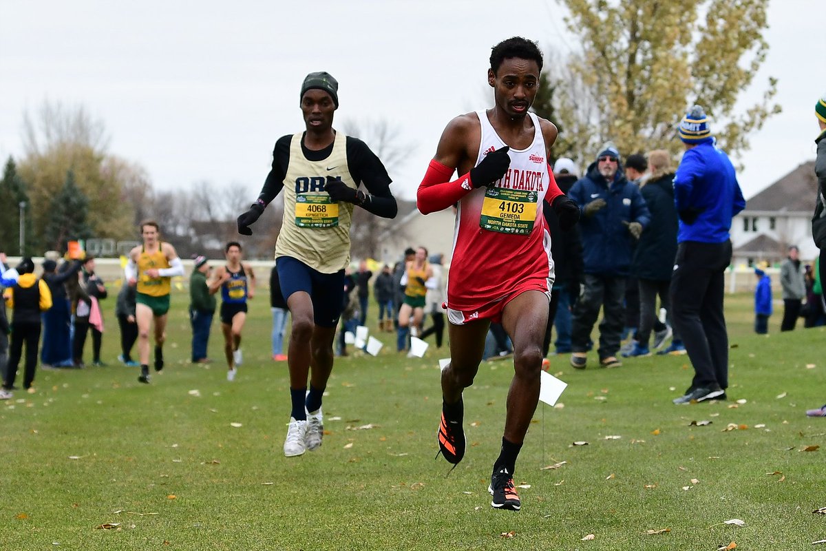 SDCoyotes's tweet photo. Coyote Spotlight 🐾

Hailing from Sioux City, IA, @merga_gemeda scored for the Coyote Cross Country squad in all 7⃣ races last year and earned all-Summit League honors in each of the past 2⃣ years 👀

#GoYotes | #WeAreSouthDakota https://t.co/XFzOX19TiL