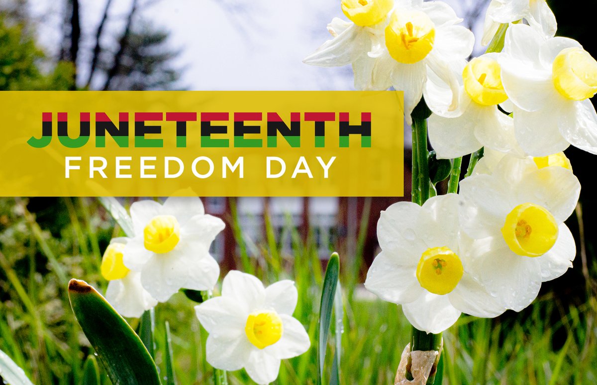 We honor the celebration of Juneteenth! 

On 6/19/1865, Gen. Granger arrived in Galveston, TX. 2 yrs after the Emancipation Proclamation he read the orders declaring all slaves in TX free. 49 states &amp; DC recognize the holiday. 

As Jesus followers, may we always proclaim freedom.