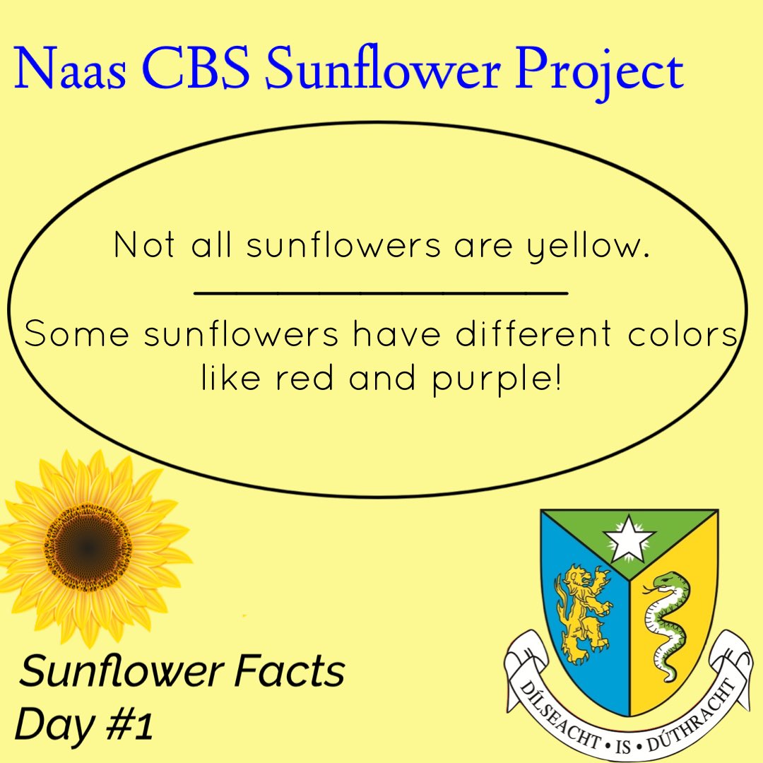 CbsSunflower's tweet photo. Sunflower Facts Day #1
Follow the Naas CBS Sunflower Project for more!
#Naas #naascbs #sunflower
@CBSNaas @NaasBall https://t.co/ALTX5d6zvr
