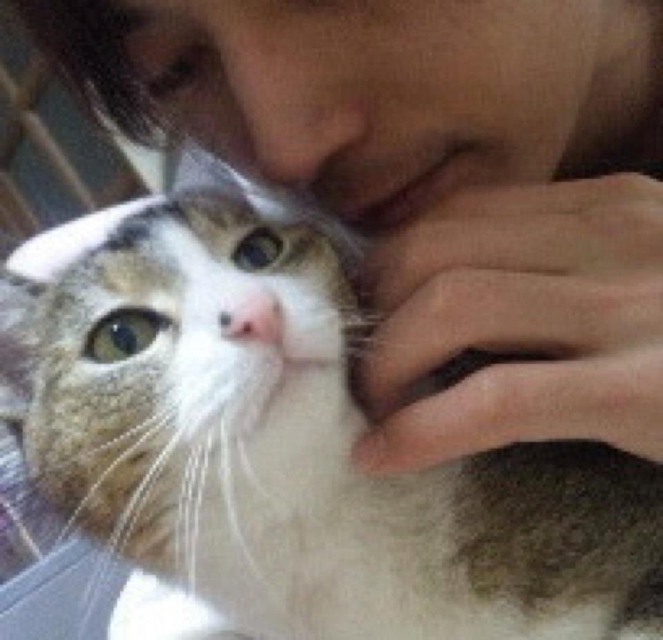 DreamCat_Shouma's tweet photo. #KSQUARD ใใ
https://t.co/oNMGENBOSj @YouTubeใใ
ๅใใใๅชใใๅฃฐใจใๅๅผทใใ็ด ๆตใใใ๏ผ
็ง่ตใฎๅ็ใใคใใใพใ
โปใฉใณใกใใใงใฏใชใ็ฌ
#RTๆกๆฃๅธๆ https://t.co/TpWiw9yQ3i