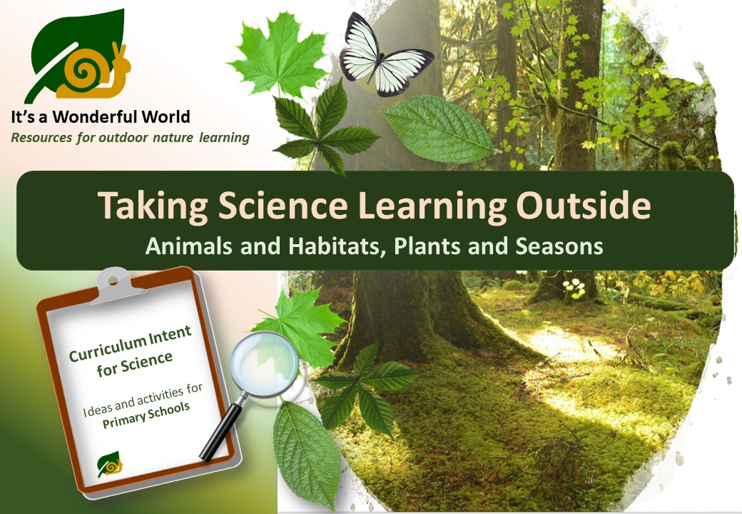 ItsaWonderfulWorld tweet media