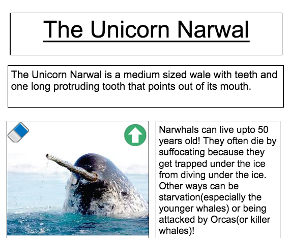 parkstone_home's tweet photo. Our 🌟Stars of the Week🌟 in KS2 are...
Charlotte C in Year 3 for a superb information text on narwhals 👏
Alfie J in Year 4 for his work on adaptation of polar bears to their surroundings 👏

We're so impressed with your hard work, keep it up! 💚
@HumberEdTrust https://t.co/tXSzVX3OYE