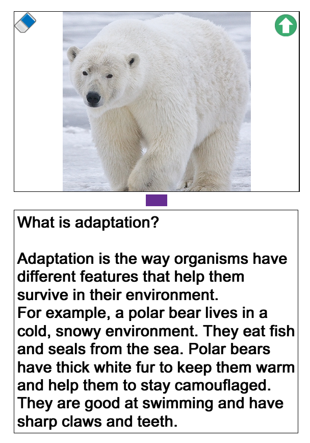 parkstone_home's tweet photo. Our 🌟Stars of the Week🌟 in KS2 are...
Charlotte C in Year 3 for a superb information text on narwhals 👏
Alfie J in Year 4 for his work on adaptation of polar bears to their surroundings 👏

We're so impressed with your hard work, keep it up! 💚
@HumberEdTrust https://t.co/tXSzVX3OYE