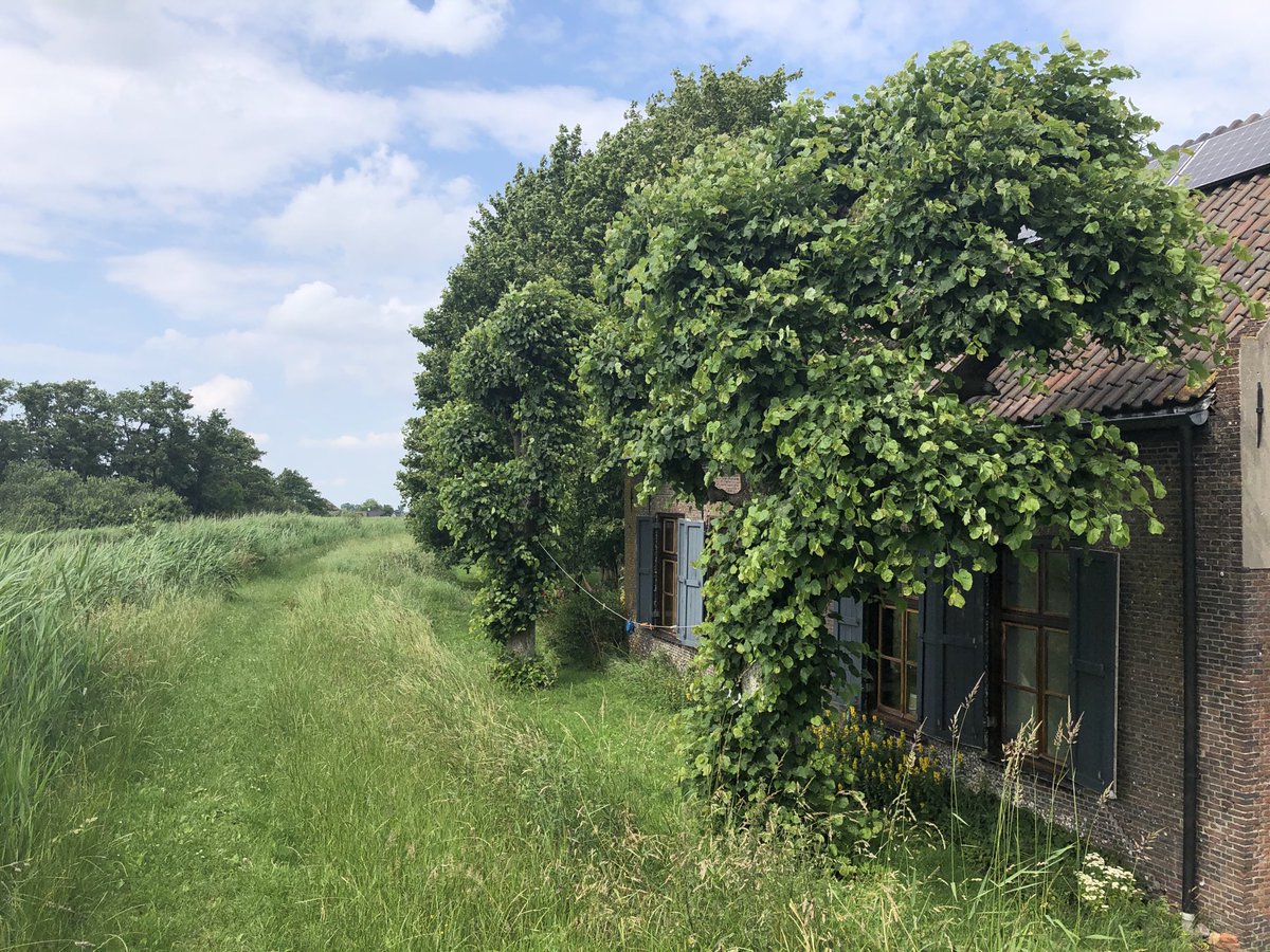 Groenehartstoc1's tweet photo. Wat een unieke plek! 1 huis midden in de polder langs de #Grecht. Je zal er maar wonen
#rust #ruimte #stilte #vrijheid #natuur #zelfvoorzienend #woerden https://t.co/RMvamsER8D
