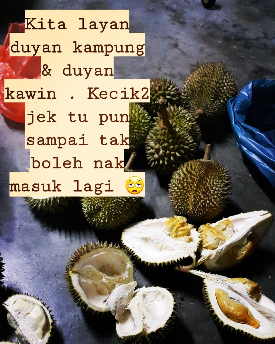 Wanitacubby1's tweet photo. #duyan kampung
#duyan kawin..
Boleh sambung esok makan 😅
Walaupun kecik2, isi banyak ..
Sampai tak boleh nak terus telan hahaha....

#musimdurian https://t.co/NboTCNgf3Y