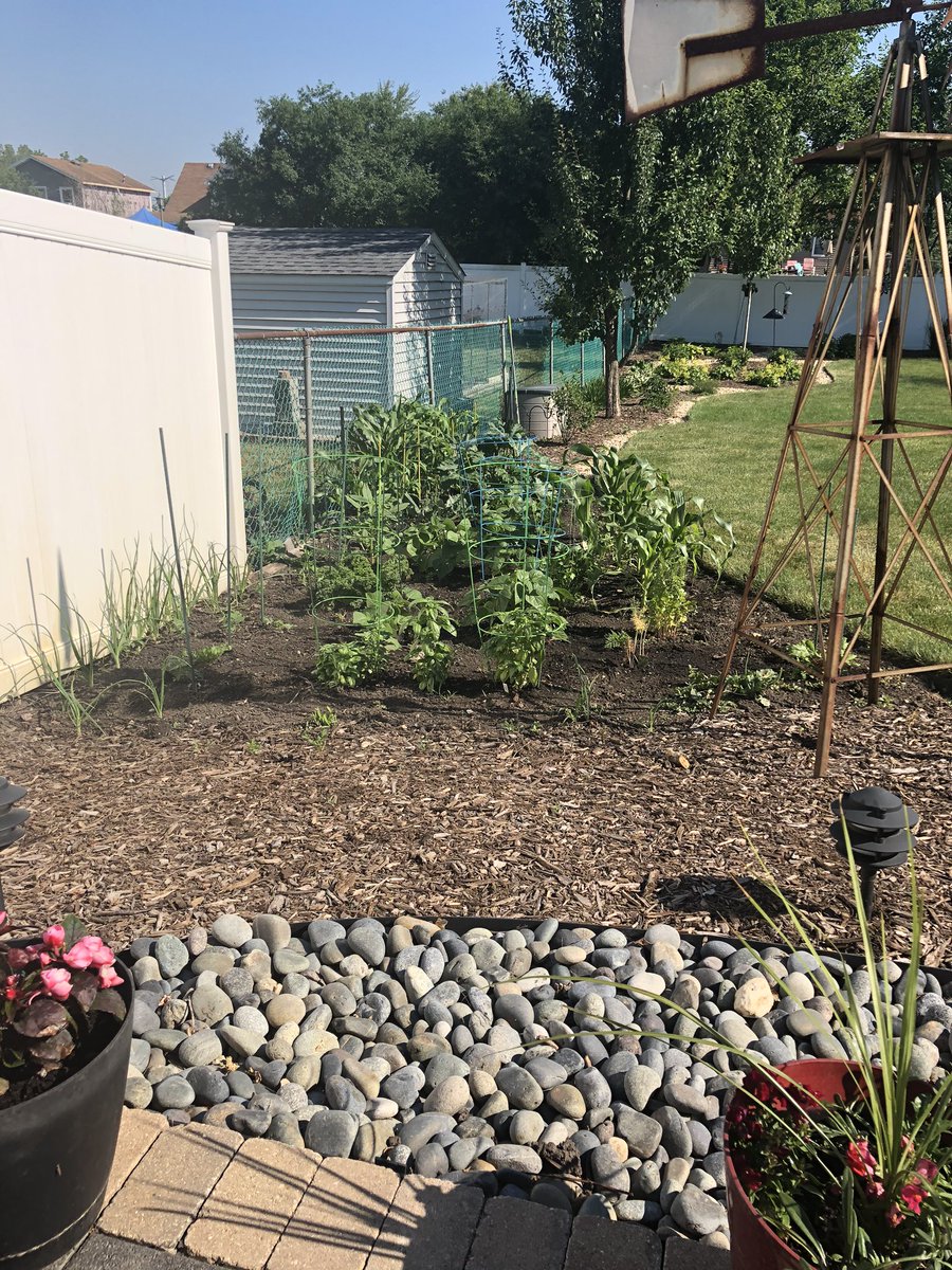 TeaHilton's tweet photo. @John_Kass Keeping the dream, and the garden, alive and well!! https://t.co/EB4qt6nWtW