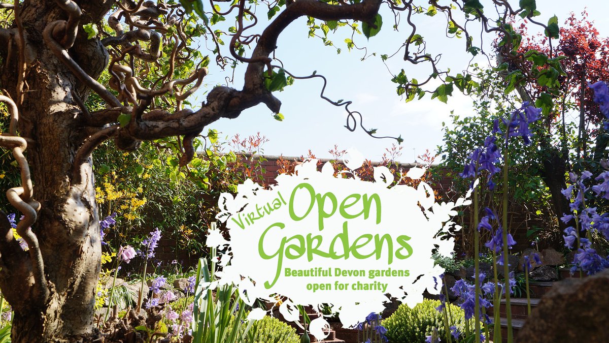 Hospiscare Community tweet media