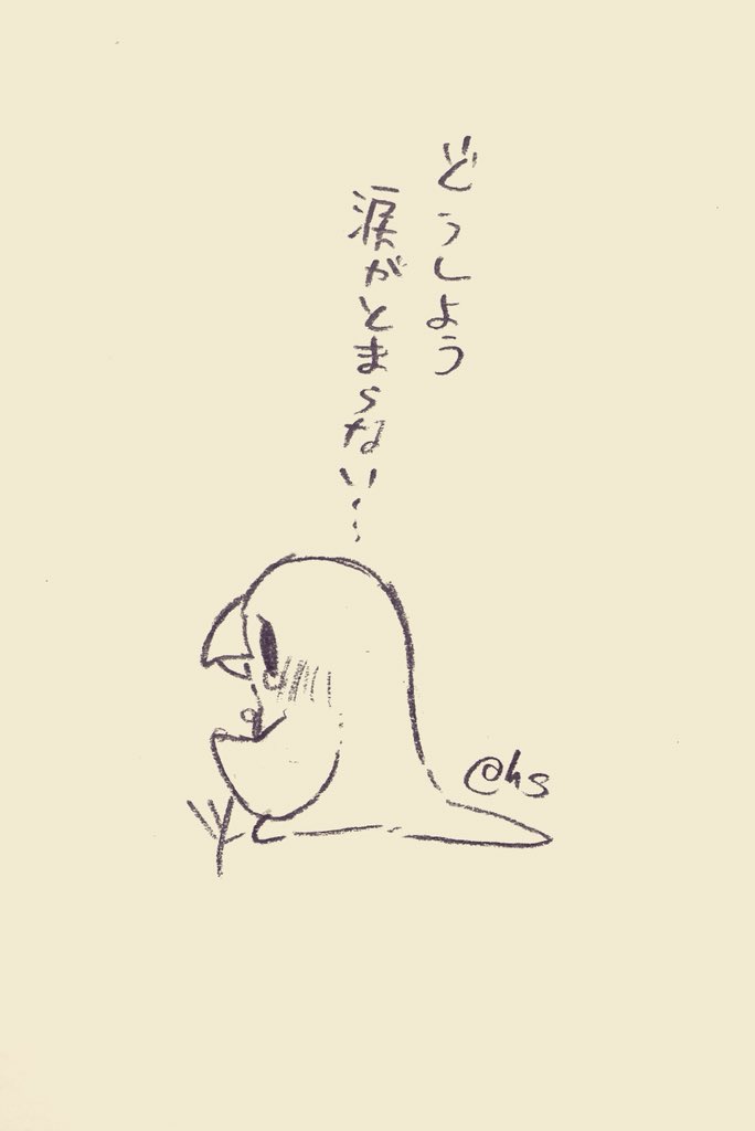 どうしよう 涙がとまらない...
#1日1回恋することり 