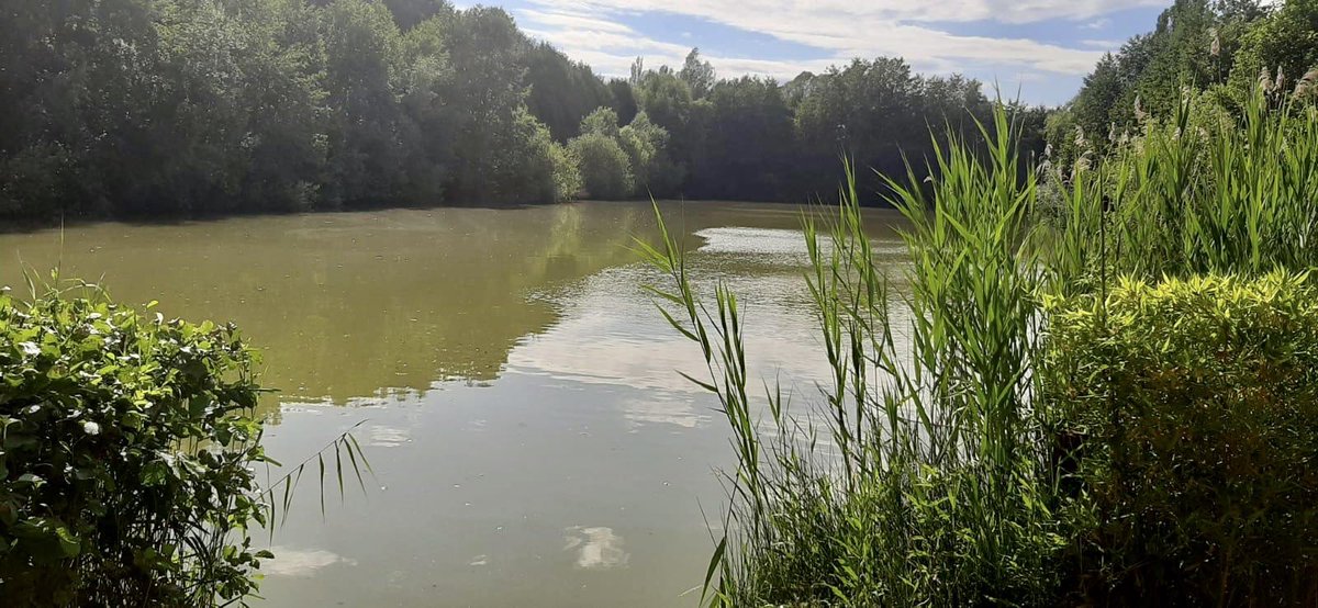 Lakesarock's tweet photo. What a beautiful day at the lake!
As everything seems to be going back to ‘normal’ we can’t wait to see you here! 
Don’t forget if you want to get a late booking this year there are still some dates available and 2021!  
#carpfishing #carpsofinstagram #commoncarp #fishinginfrance https://t.co/kbVQqAKhfN