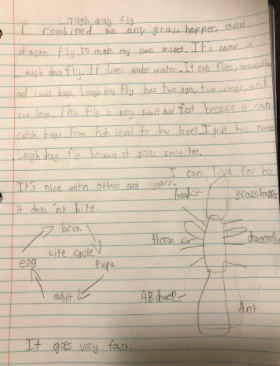 VVGrade2SP's tweet photo. Using their creative writing skills combined with their knowledge of insects, students invented their own species of insect! They discussed their physical appearance, habitat, and behaviors! Check out some of these interesting insects! #EntomologyExperts https://t.co/gEY43KWOeU