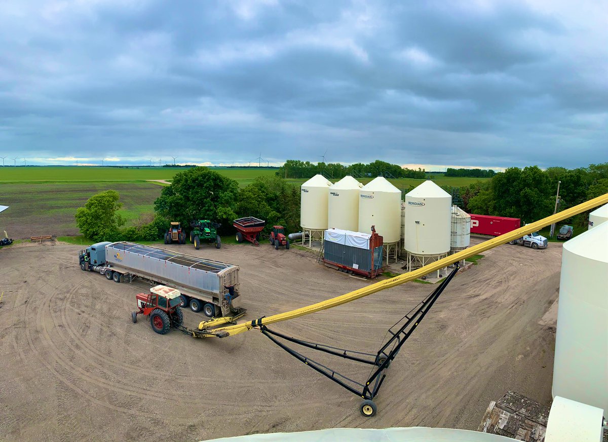 Having a fun friday morning. Taking in contracted oil sunflowers and shipping out clean birdfood. Have a zoom on that sweet belly drag trailer!