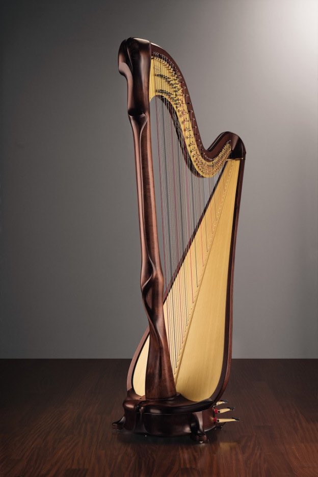 Jimin; the Harp“The harp is a very unique instrument The instrument and the performance itself are graceful and elegant.”