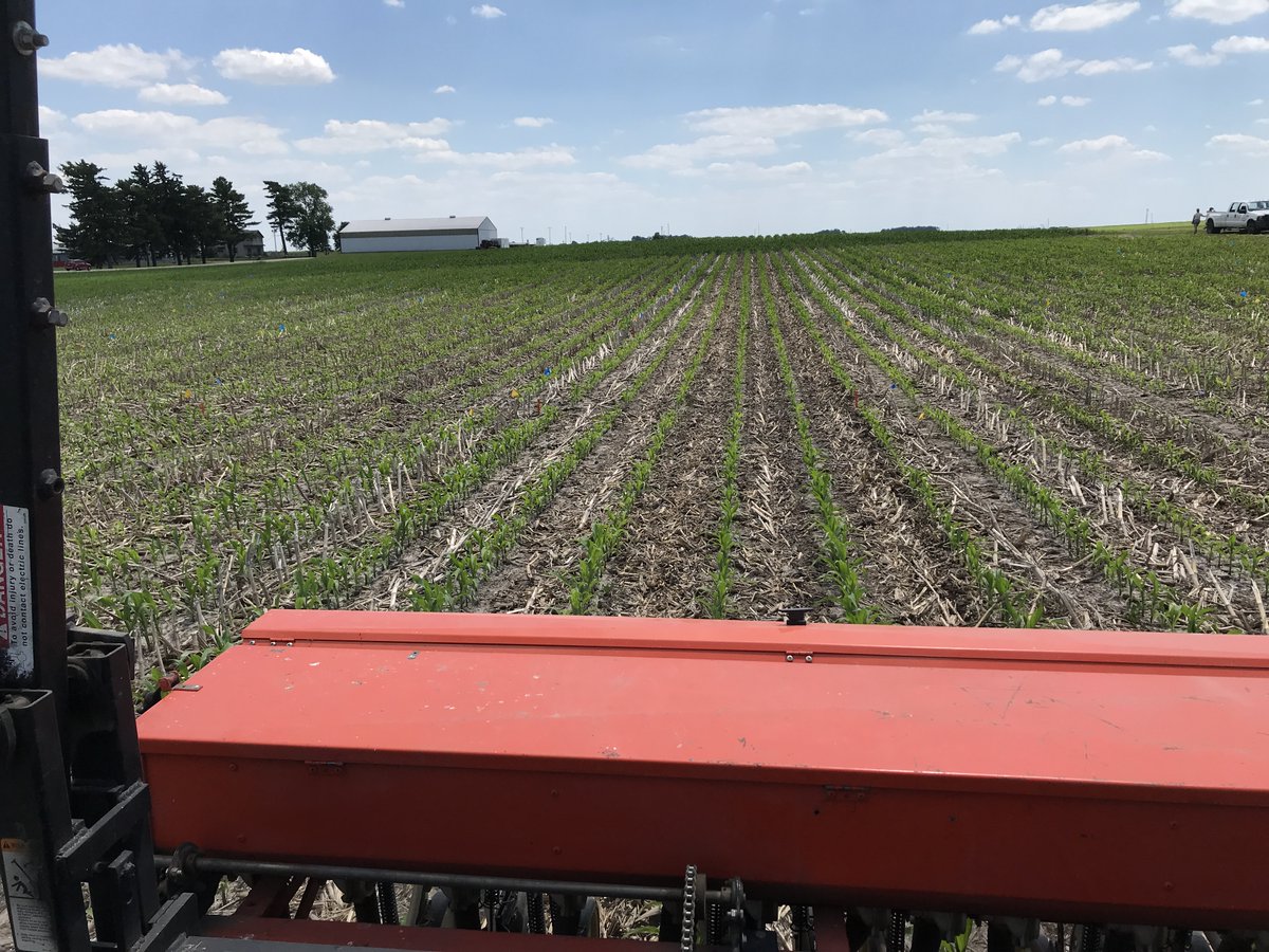 agronomybadger's tweet image. Finished up #covercrop #interseeding yesterday @UWMadisonCALS Arlington ARS with @RuarkLab. Hard to believe almost 6 years ago @vmdavis and I interseeded our first study at Arlington.