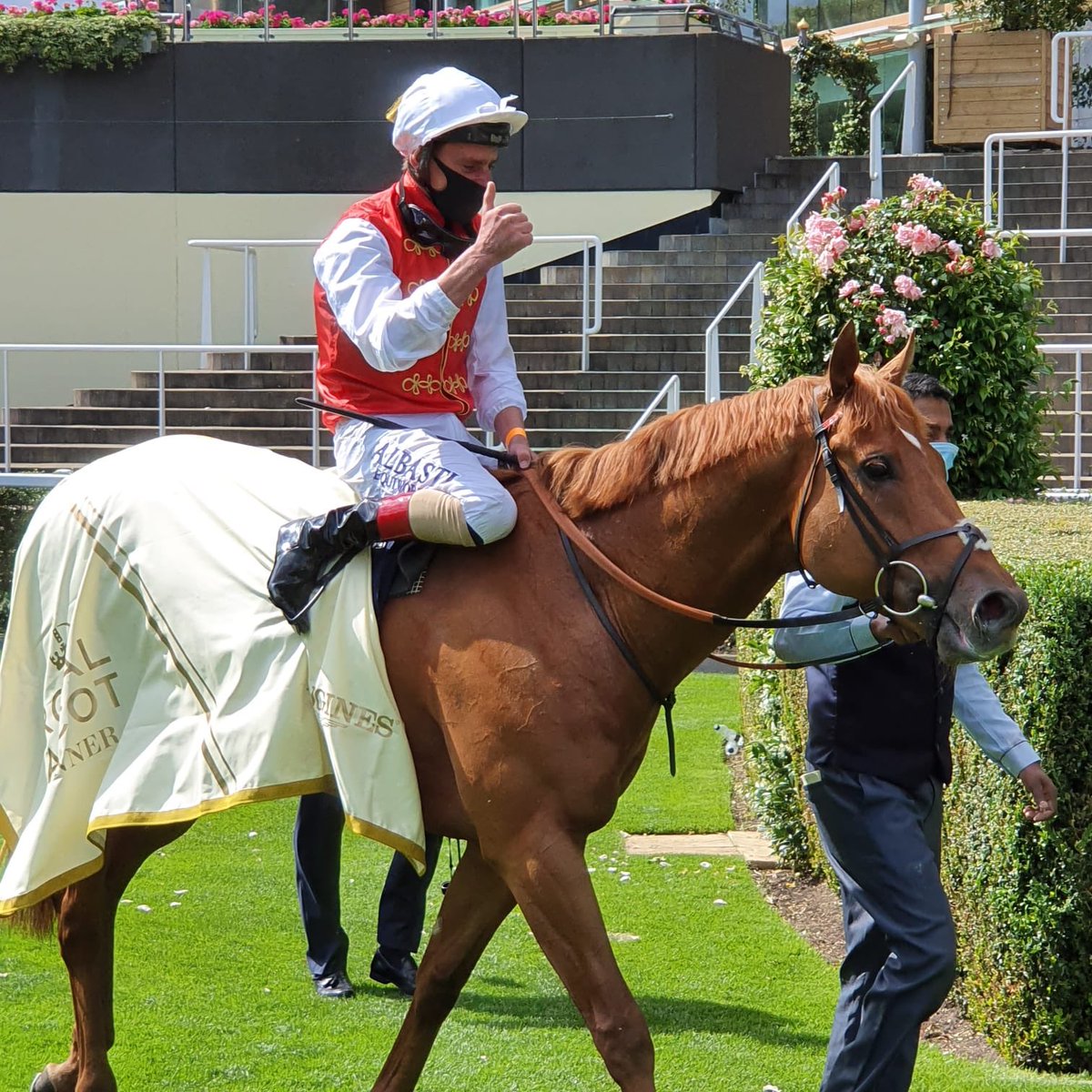 Cracking performance from a smashing colt! 😍