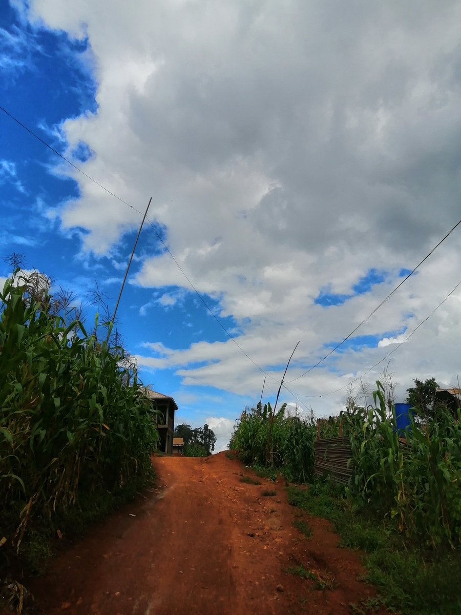 doualanow's tweet photo. West Region in Cameroon.
#NoFilter
#OneOfTheVillages
#LifeInTheVillage
#BeautifulPeace
#NatureIsBeautiful
#SoulSearching
#Calm
#Relaxation https://t.co/W7YgioQBwo