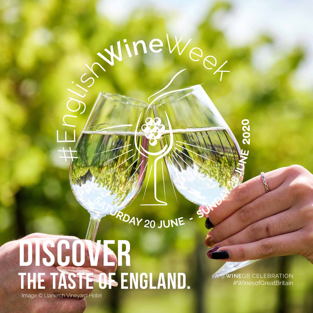 Warden Abbey Vineyard tweet media
