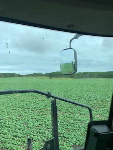 AnnexAgro's tweet image. Nice sprayer pic of ⁦@PioneerSeedsCA⁩ #45CM39 from customer this am. #BringASign