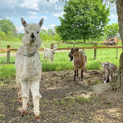 MeierOrganic's tweet photo. Delicious news from the Farm Store... - https://t.co/2IgrVyBms8 https://t.co/gl3X859VbM