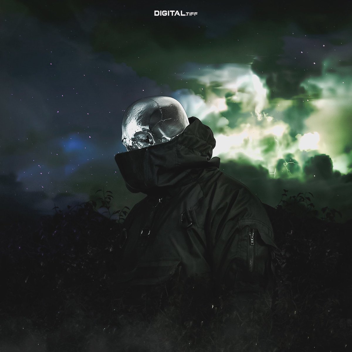 DigitalTiff's tweet image. Photo Manipulations 

#photoshop #coverart #creategraphics #albumart