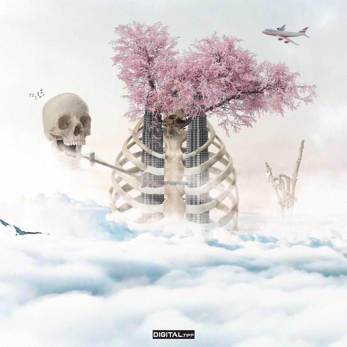 DigitalTiff's tweet image. Photo Manipulations 

#photoshop #coverart #creategraphics #albumart