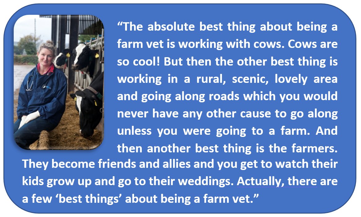 theBCVA's tweet photo. Sally Wilson qualified from Glasgow in 2002 and is the founding partner of Evolution Farm Vets in Somerset. Here’s what she loves about being a cattle vet and what she hopes new vet grads will love too. #DearNewVetGrad https://t.co/m4RxJf7L8v