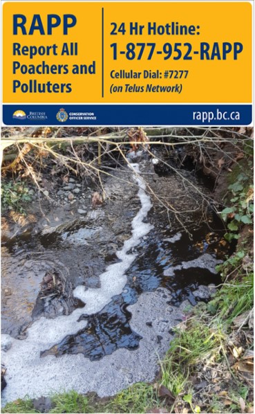 Manure is great for plants, not so great for water. Report all acts of pollution to the BC RAPP line. More info at rapp.bc.ca
