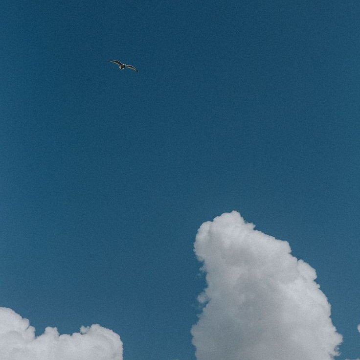 i think i saw people sitting on clouds i think i saw people sitting on clouds