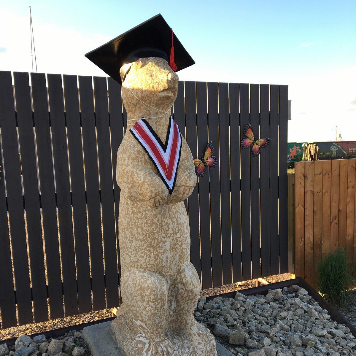✨Gopher Your Dreams✨ Congratulations 2020 Graduates! (Gopher decorated by communities in bloom)