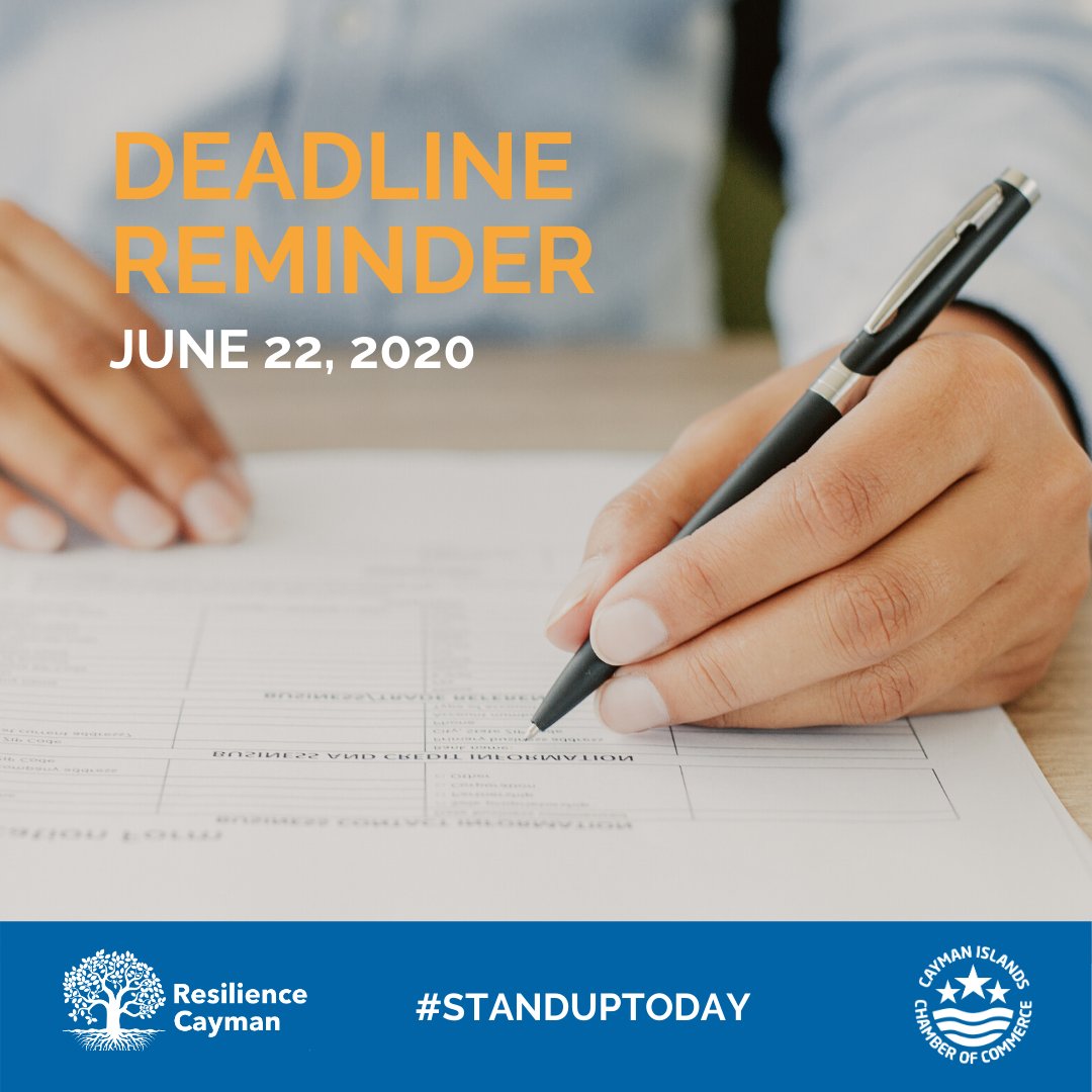 ResilienceKy's tweet photo. The application deadline for businesses to participate in our Youth Internship Programme is this Monday.
Visit https://t.co/qFLMCOhmd2 to submit your application now.
#CaymanIslands #ResilienceCayman #StandUpToday
@CaymanChamber https://t.co/LHef2WpWth