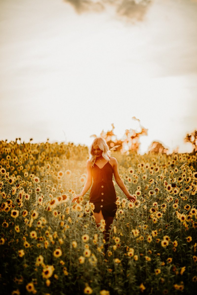 Amandaa_Kelly1's tweet photo. Now offering SUNFLOWER MINIS on June 27th! Limited spots &amp; they’re selling like hot cakes, so snag your spot 🤩📷 https://t.co/jqk9PhMflu