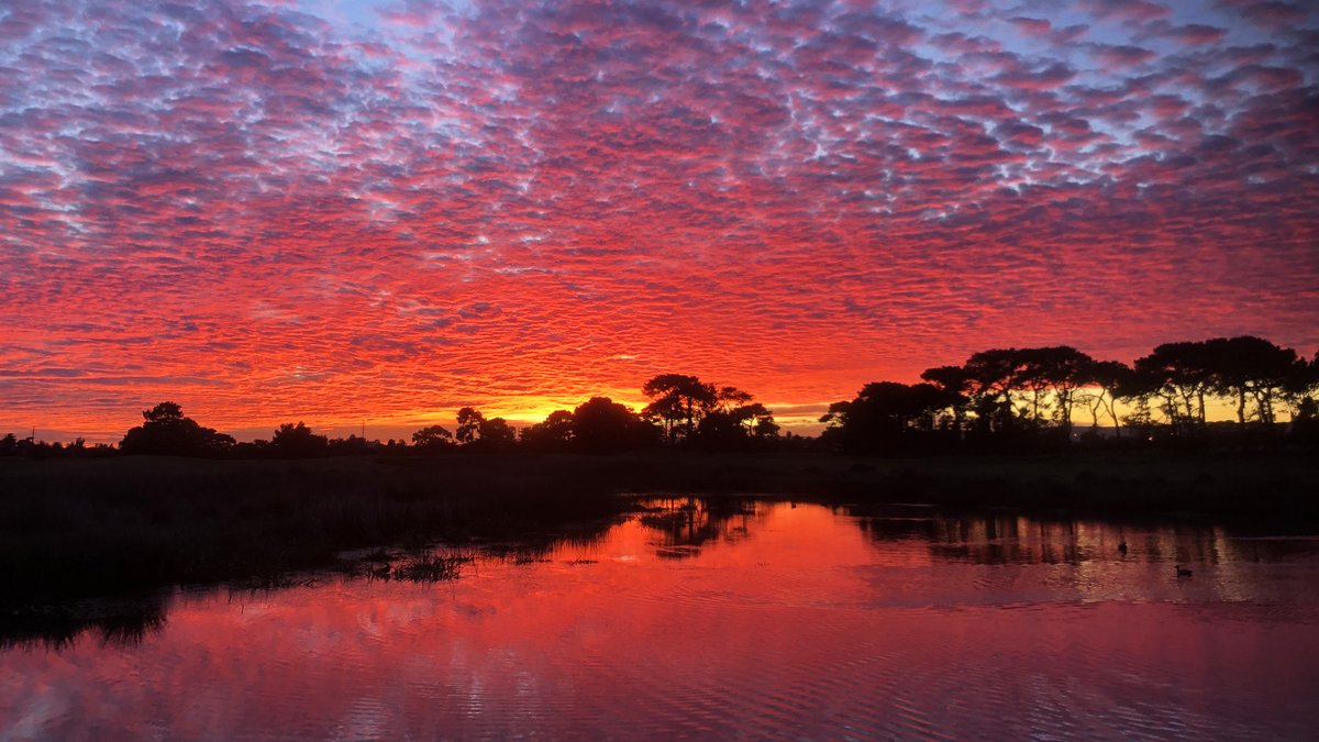 Seeing sunrises that most people miss is a great part of working on a golf course. This beauty from <a href="/RoyalAdelaideGC/">Royal Adelaide Golf</a> also highlights how golf courses can benefit their communities. ➡️ usga.org/content/usga/h…