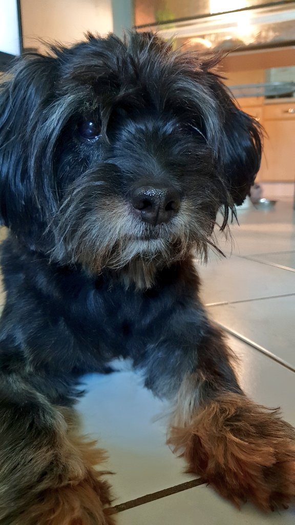 Sommerlook fertig 💇 💇 🙊