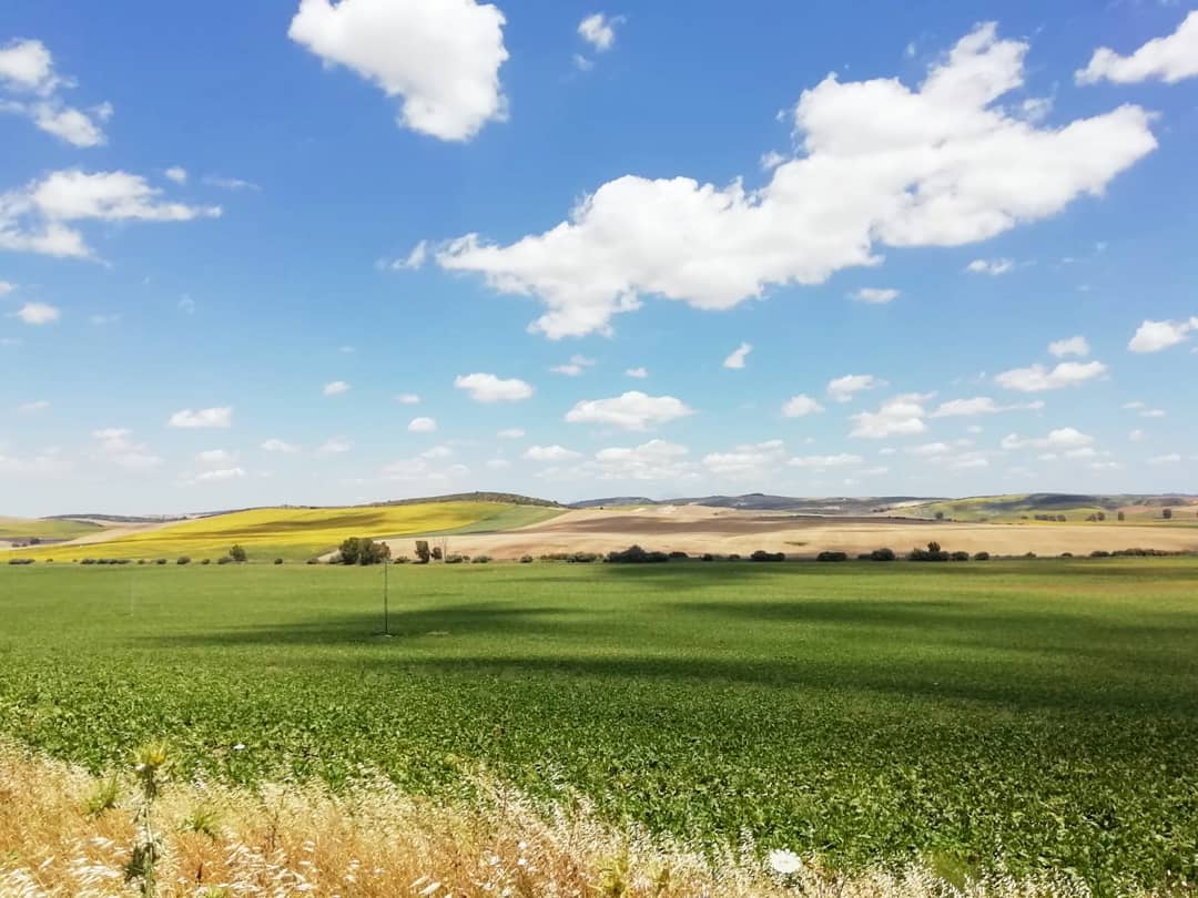 AzucareraES's tweet photo. 📢 El mejor compañero en el #campo👌👏🙌
📍#Dron repasa un #campo de #remolachaazucarera en el sur, ha a ha 👀🚀👇
🛰 Más #azúcar en la 🌱👉🏻 gracias a este proyecto 😍
@hemavgroup @smart_flight 
#AgTech #Womanintech #ai #drones #Agroteo https://t.co/RifK1l3e0p