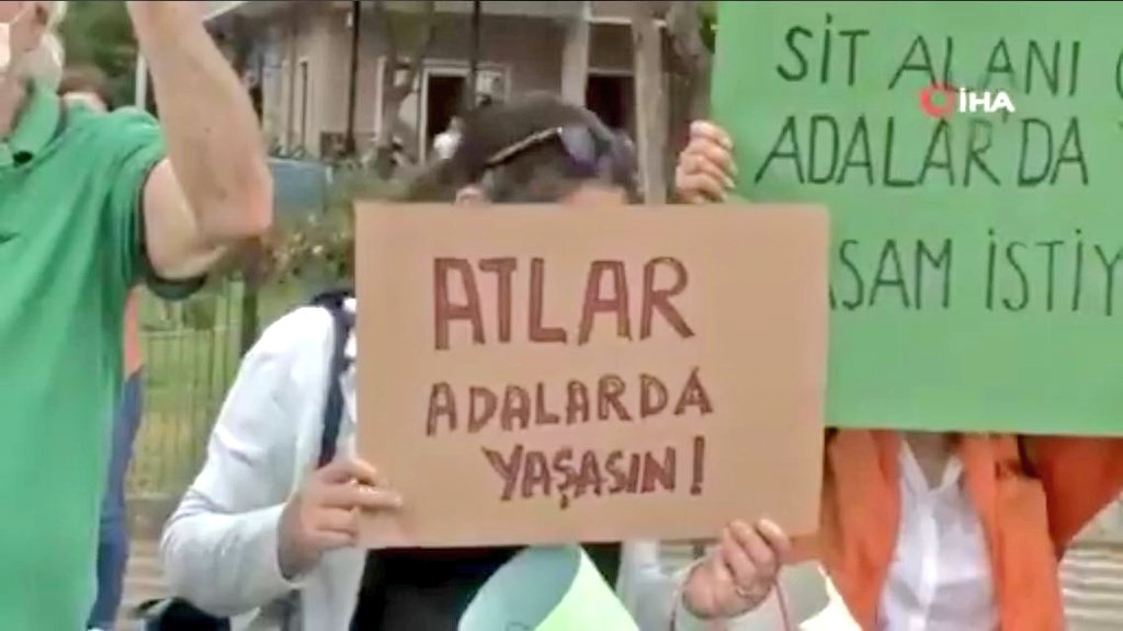 Atntkdrednkvby's tweet photo. İyide Atlar adada yaşayamıyor ki. https://t.co/90qrTvfVeS