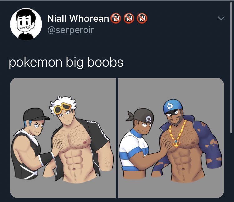 Also funny thing is this thread on the over analyzing of Team Skull and Po Town all started bc of this image fjdjd