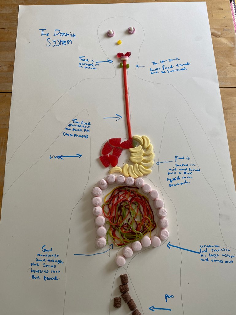 AlvertonCOR's tweet photo. Our Human Body Project has produced some fantastic bodies from Nat, Gabriele and Agnes!@alvertonschool https://t.co/bKaj7DNOZf