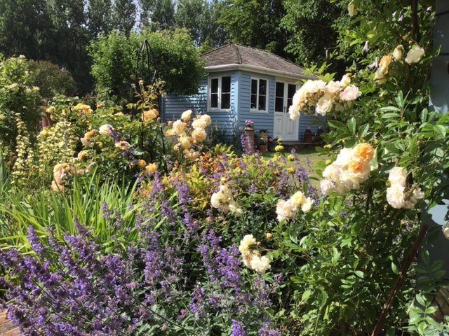 OGrdnsCranborne's tweet photo. Though the Cranborne Open Gardens for 2020 could not take place, we thought everyone would enjoy some of the wonderful results of the lockdown measures. Do you have a favourite corner of your garden to share? https://t.co/uqkPYwZpZs