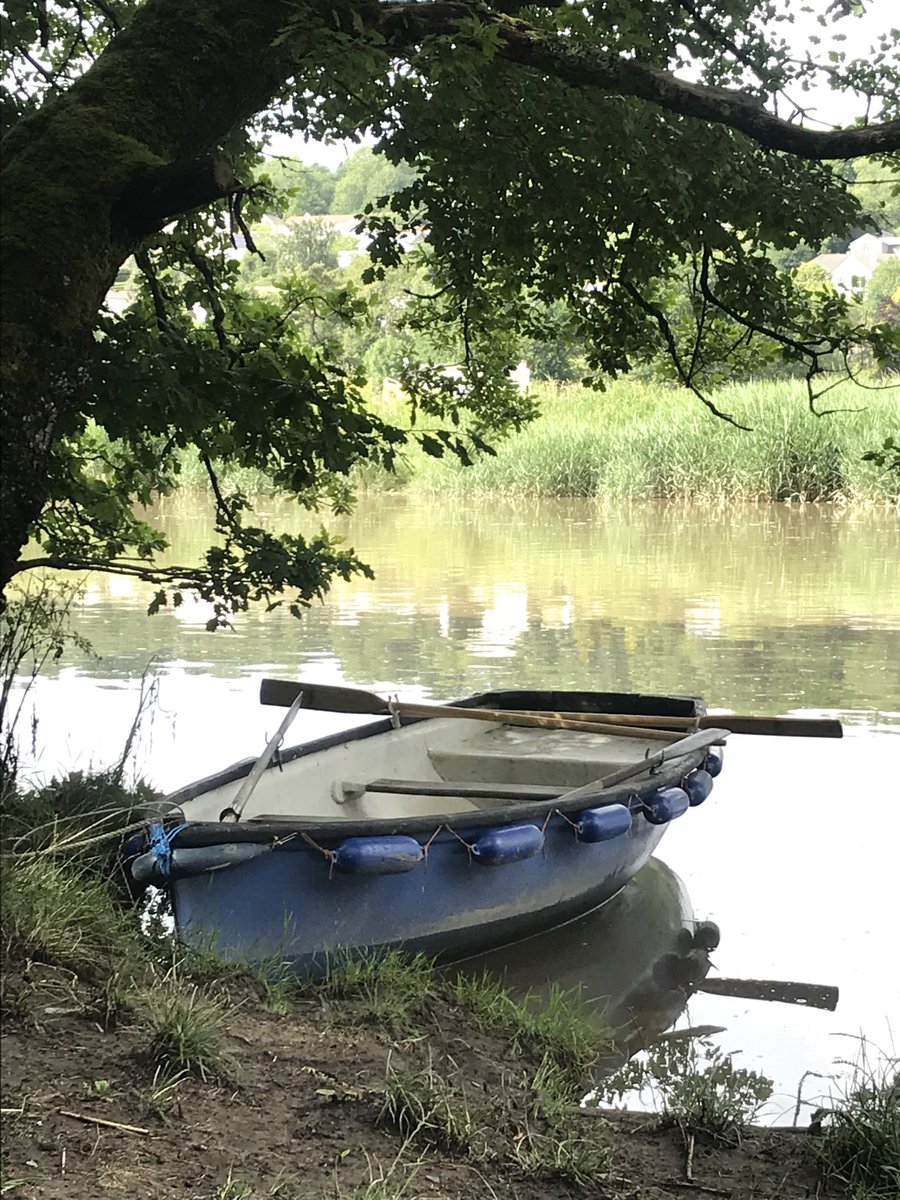Kidsincockpit's tweet photo. We rowed to Devon today! https://t.co/fKkNX1BgIU