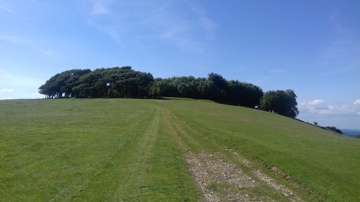 The way up, we experienced the wonderful line in the piece, 'before you know it, before you're really ready, grass becomes chalk.'