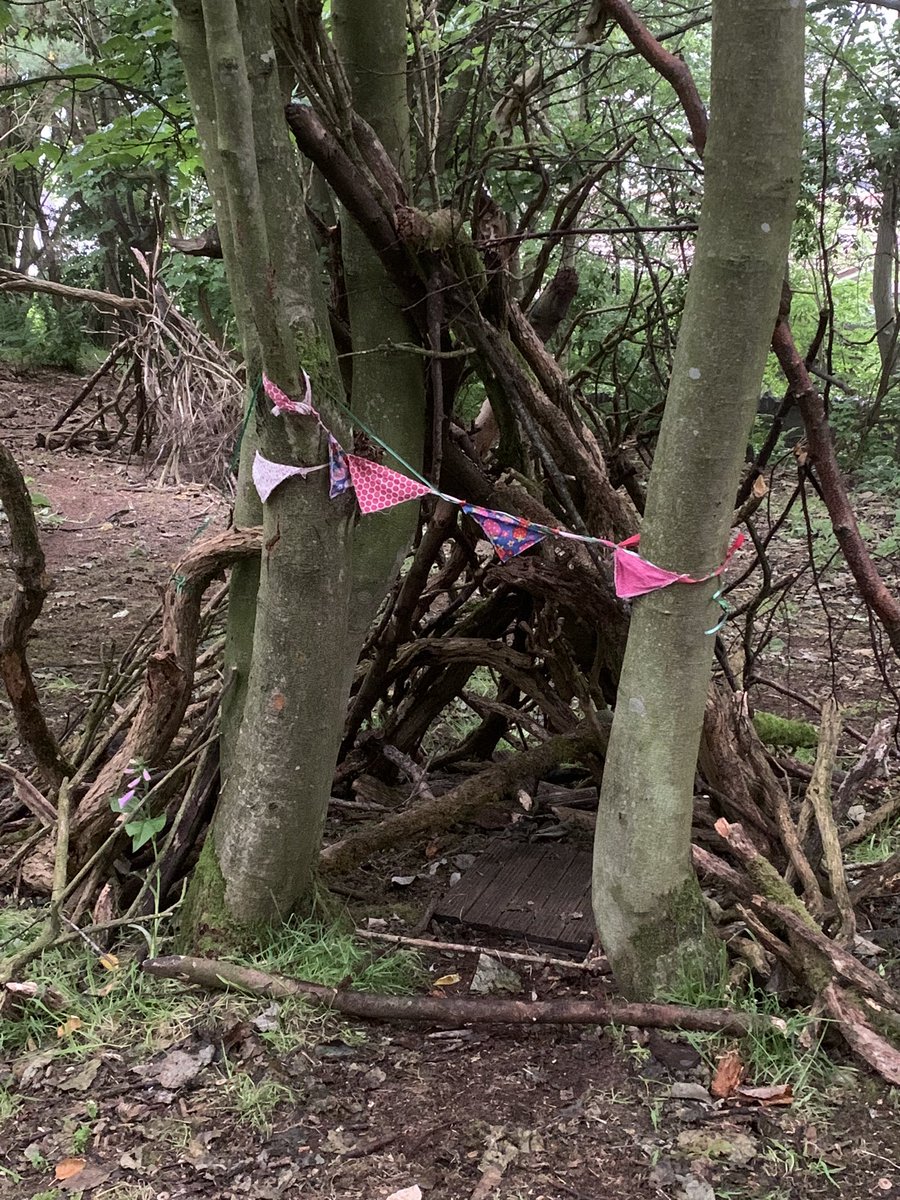 lucynorris1's tweet image. Tree village on Blackford Hill 

#blackfordhill #treevillage