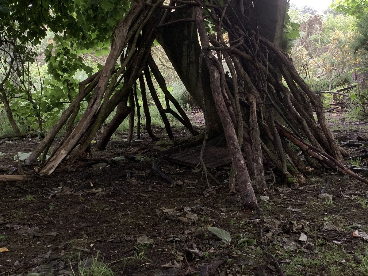 lucynorris1's tweet image. Tree village on Blackford Hill 

#blackfordhill #treevillage