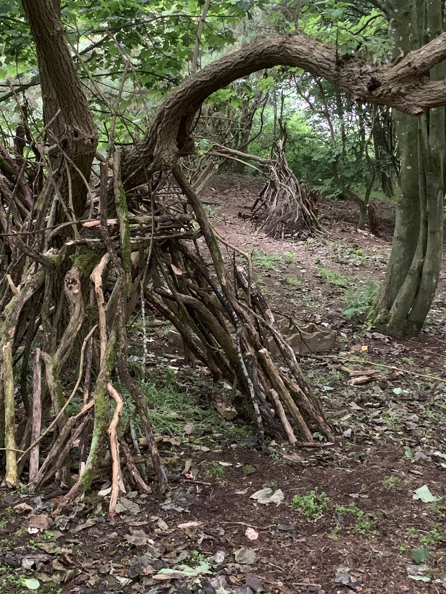 lucynorris1's tweet image. Tree village on Blackford Hill 

#blackfordhill #treevillage