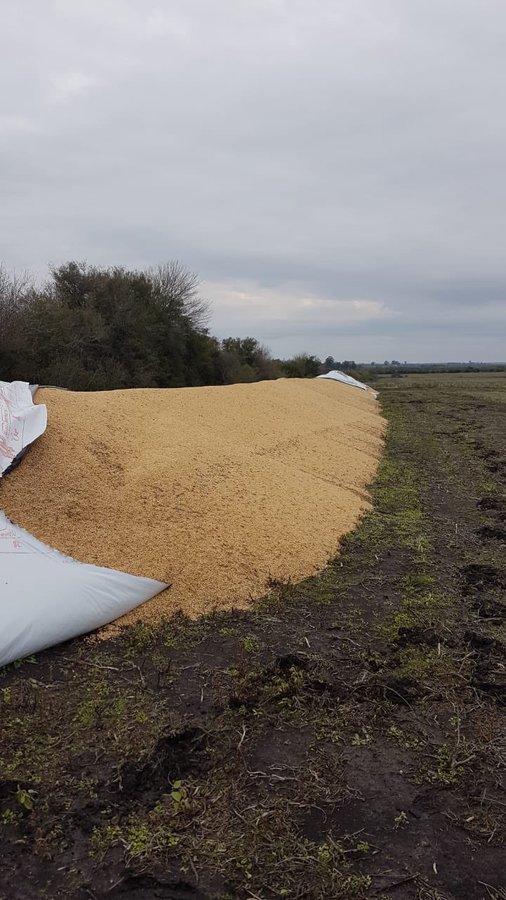 Ver imagen en Twitter