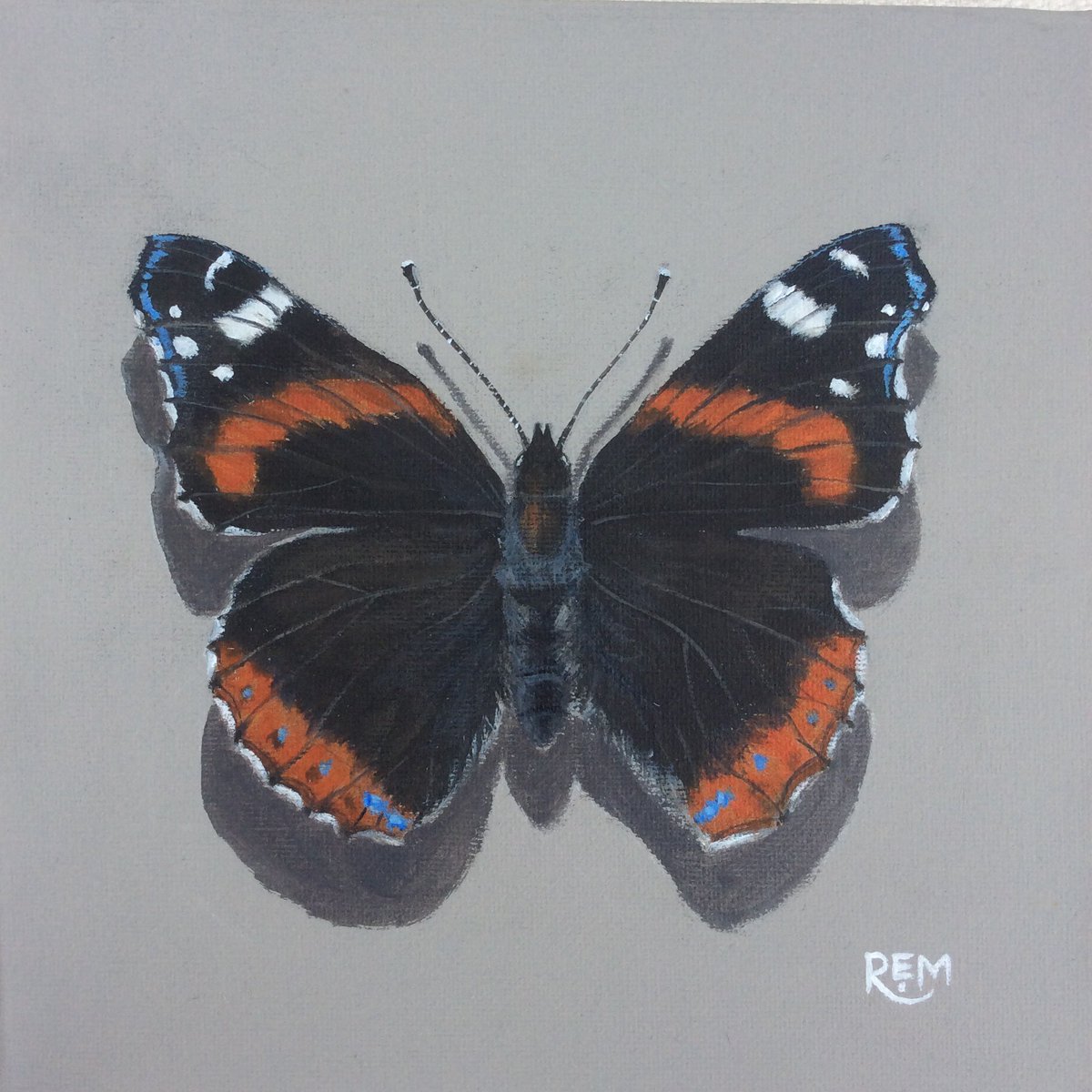 Rosieartwork's tweet photo. ‘Red Admiral’ for this week’s @Clr_Collective just a tad of #minium #colour_collective #butterfly #redadmiral #insectart https://t.co/3NhSpx3fal