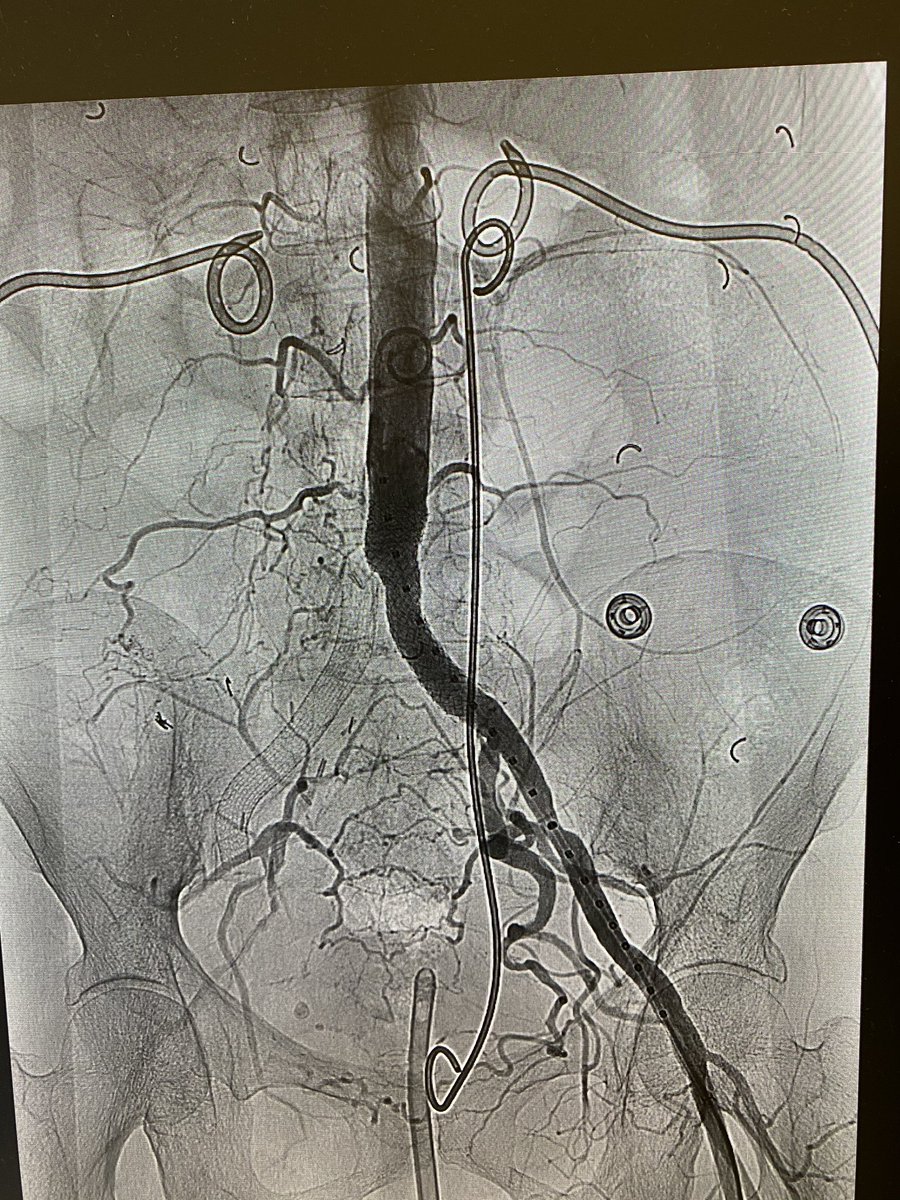 Conor McKee tweet media