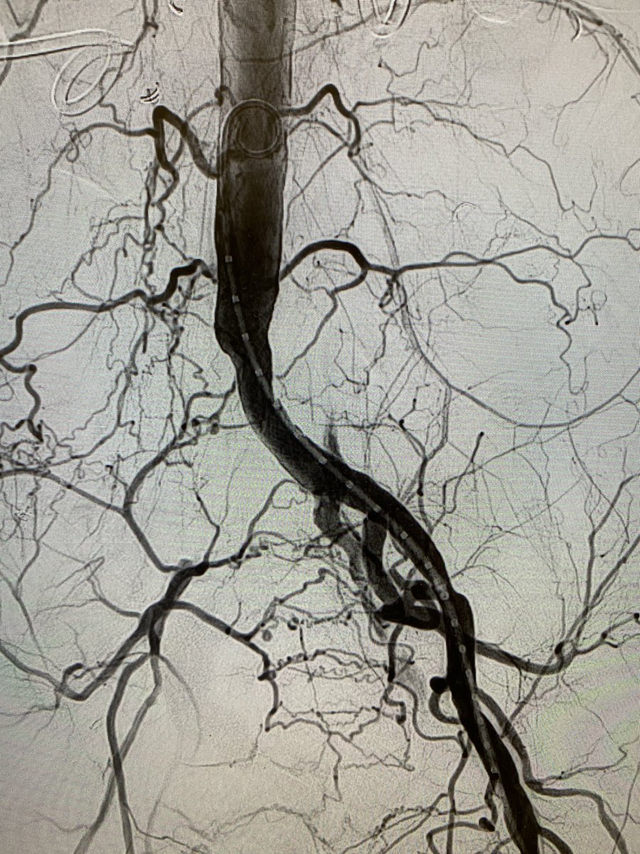 Conor McKee tweet media